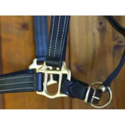 T de T Licol cuir triple couture><noscript><img data-lazyloaded=