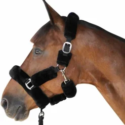 CANTER Licol de transport> Licol Mouton