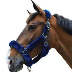 FLAGS&CUP Licol de Transport> Licol Nylon|Licol Mouton