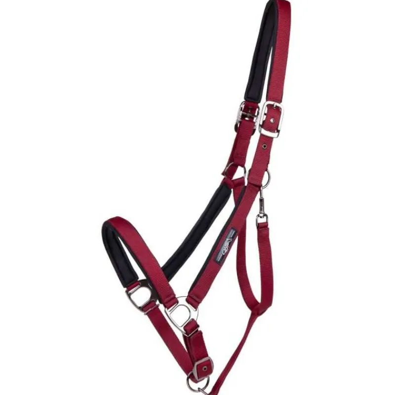 QHP Licol Deluxe cheval de trait> Licol Nylon