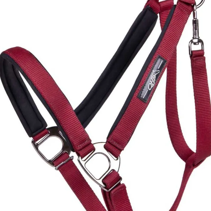 QHP Licol Deluxe cheval de trait> Licol Nylon