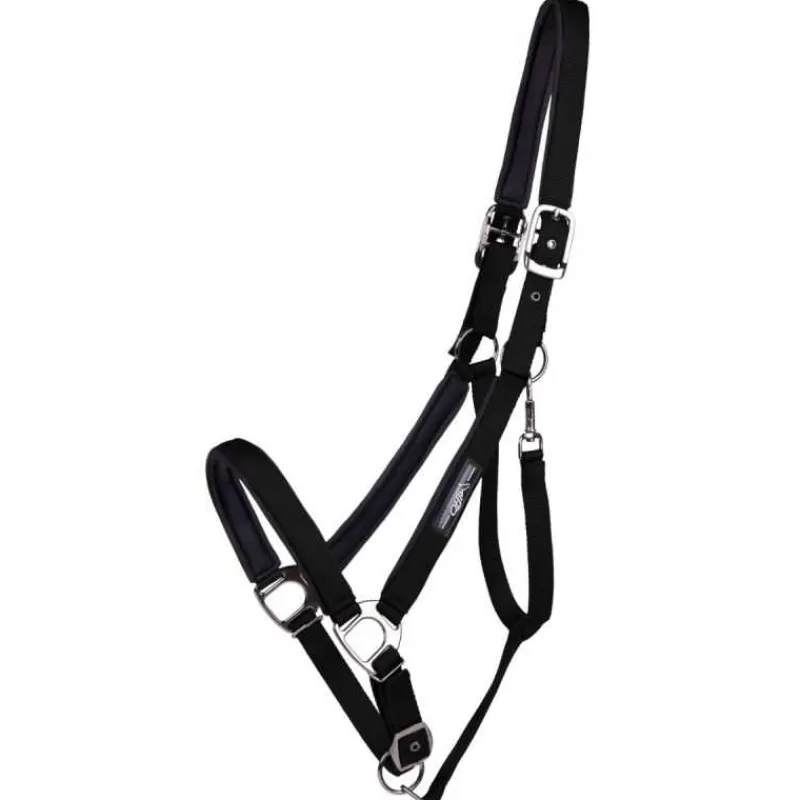 QHP Licol Deluxe cheval de trait> Licol Nylon
