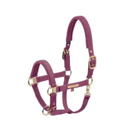ESKADRON Licol Double Pin Heritage> Licol Nylon