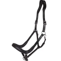 QHP Licol en cuir anatomique Salerno><noscript><img data-lazyloaded=