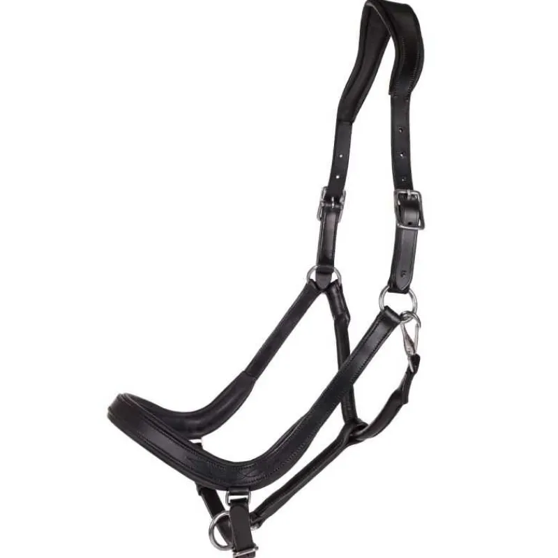 QHP Licol en cuir anatomique Salerno> Licol En Cuir