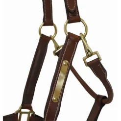 T de T Licol en cuir avec plaque><noscript><img data-lazyloaded=