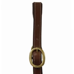 T de T Licol en cuir avec plaque><noscript><img data-lazyloaded=