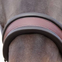 FLAGS&CUP Licol en cuir Comfort> Licol En Cuir