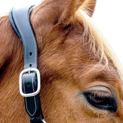 STATIONATA Licol en cuir Confort> Licol En Cuir