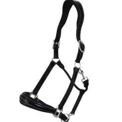 STATIONATA Licol en cuir Confort><noscript><img data-lazyloaded=