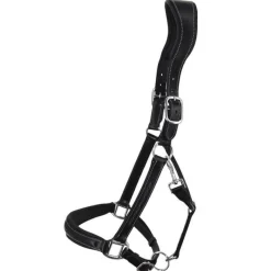 STATIONATA Licol en cuir Confort><noscript><img data-lazyloaded=