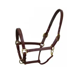 STATIONATA Licol en cuir Fashion> Licol En Cuir