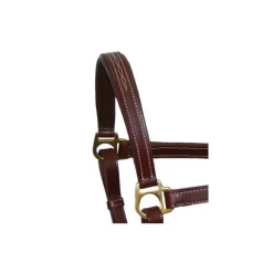 STATIONATA Licol en cuir Fashion><noscript><img data-lazyloaded=