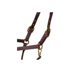 STATIONATA Licol en cuir Fashion><noscript><img data-lazyloaded=
