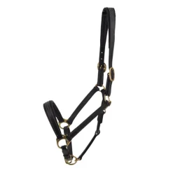 STATIONATA Licol en cuir Fashion><noscript><img data-lazyloaded=