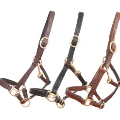 T de T Licol en cuir Foal ou mini> Licol En Cuir|Licol Poulain Et Shetland