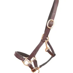 T de T Licol en cuir Foal ou mini> Licol En Cuir|Licol Poulain Et Shetland
