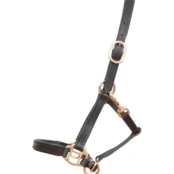 T de T Licol en cuir Foal ou mini><noscript><img data-lazyloaded=