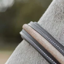 CANTER Licol en cuir Mylord> Licol En Cuir