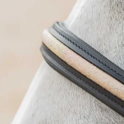 CANTER Licol en cuir Mylord><noscript><img data-lazyloaded=