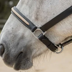 CANTER Licol en cuir Mylord><noscript><img data-lazyloaded=