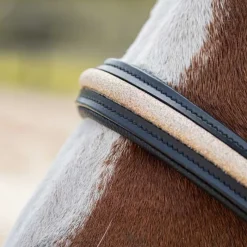 CANTER Licol en cuir Mylord><noscript><img data-lazyloaded=