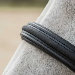 CANTER Licol en cuir Mylord><noscript><img data-lazyloaded=
