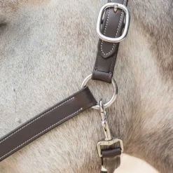 CANTER Licol en cuir Mylord><noscript><img data-lazyloaded=
