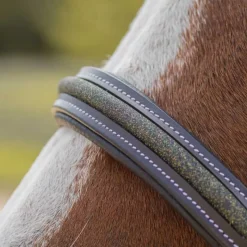 CANTER Licol en cuir Mylord><noscript><img data-lazyloaded=