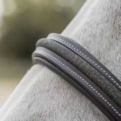 CANTER Licol en cuir Mylord><noscript><img data-lazyloaded=