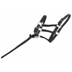 T de T Licol foal> Licol Poulain Et Shetland|Licol Nylon
