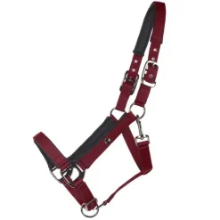 QHP Licol luxe> Licol Nylon