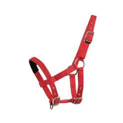 WALDHAUSEN Licol mini Shetland> Licol Poulain Et Shetland|Licol Nylon