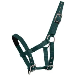 WALDHAUSEN Licol mini Shetland><noscript><img data-lazyloaded=
