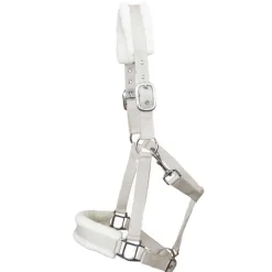 T de T Licol mouton synthétique> Licol Nylon|Licol Mouton