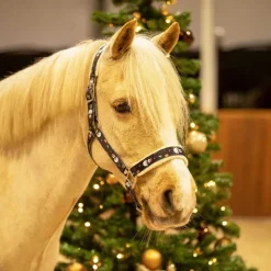 QHP Licol Noël><noscript><img data-lazyloaded=
