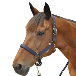 CANTER Licol nylon doublé> Licol Nylon