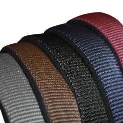 CANTER Licol nylon doublé> Licol Nylon