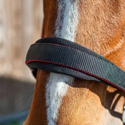 STATIONATA Licol nylon et mesh><noscript><img data-lazyloaded=