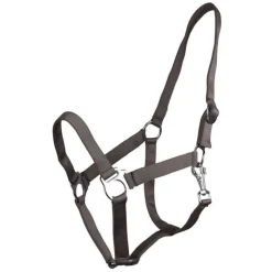 Q-ESSENTIALS Licol nylon glissière> Licol Poulain Et Shetland|Licol Nylon