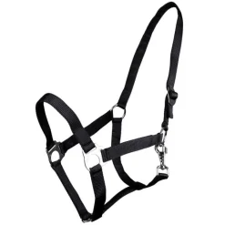 Q-ESSENTIALS Licol nylon glissière><noscript><img data-lazyloaded=