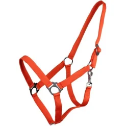 Q-ESSENTIALS Licol nylon glissière><noscript><img data-lazyloaded=