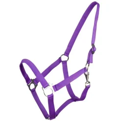 Q-ESSENTIALS Licol nylon glissière><noscript><img data-lazyloaded=