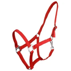 Q-ESSENTIALS Licol nylon glissière><noscript><img data-lazyloaded=