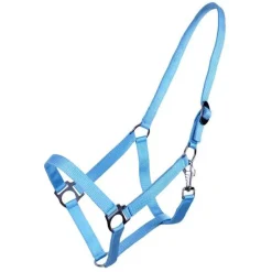 Q-ESSENTIALS Licol nylon glissière><noscript><img data-lazyloaded=