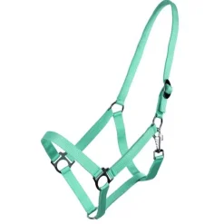 Q-ESSENTIALS Licol nylon glissière><noscript><img data-lazyloaded=