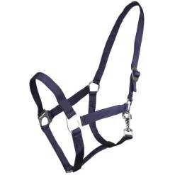 Q-ESSENTIALS Licol nylon glissière><noscript><img data-lazyloaded=