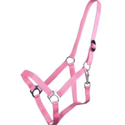 Q-ESSENTIALS Licol nylon glissière><noscript><img data-lazyloaded=