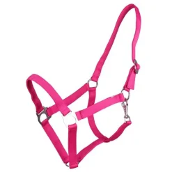 Q-ESSENTIALS Licol nylon glissière><noscript><img data-lazyloaded=