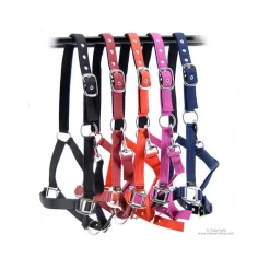 HORSE & GO Licol nylon> Longe De Travail|Licol Nylon